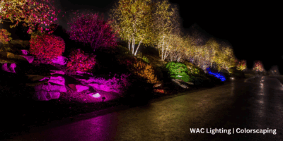 Trees along a path lit with multicolored lights.