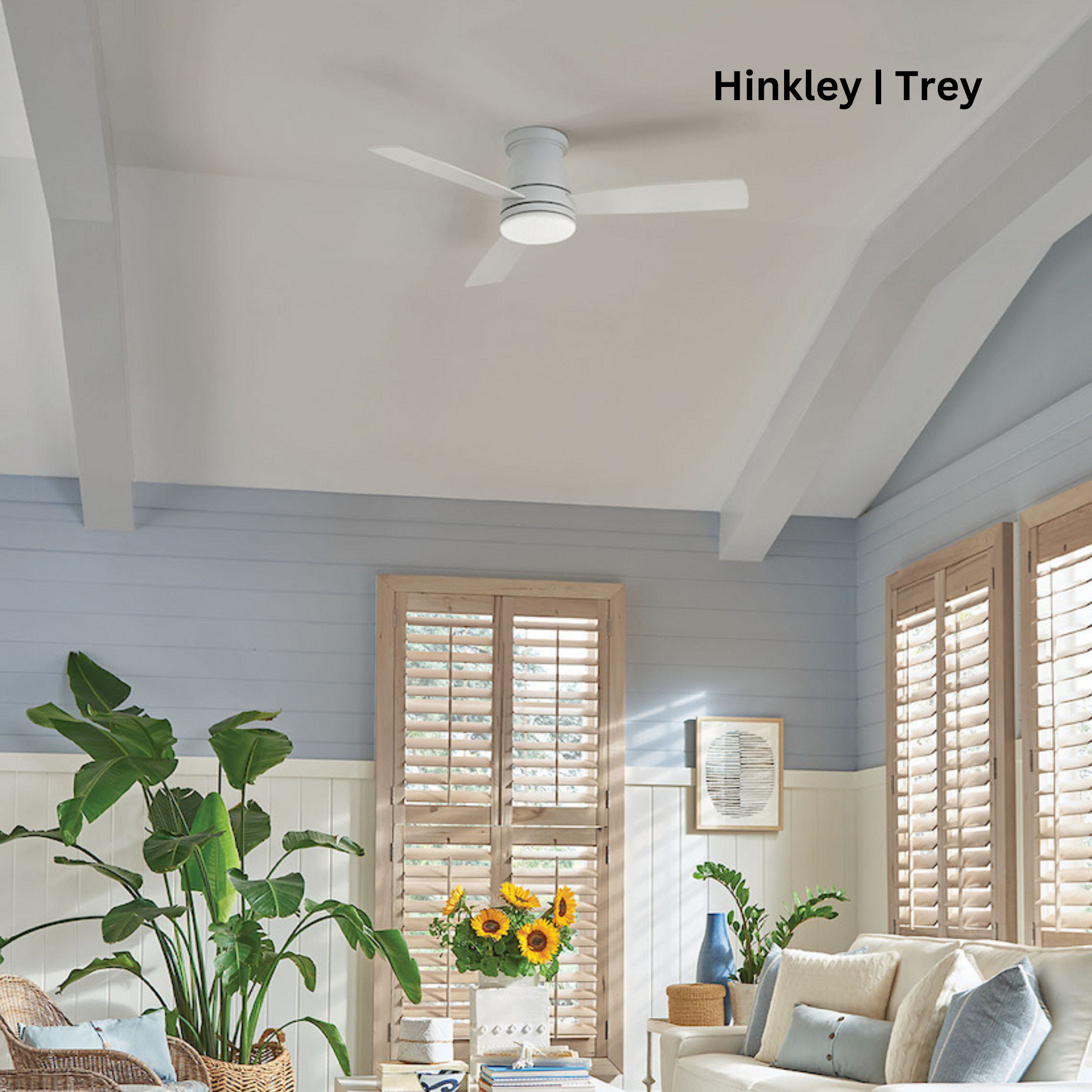 Hinkley | Trey