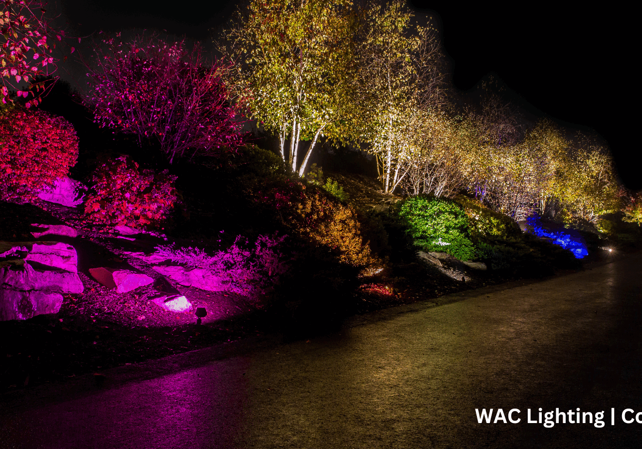 Trees along a path lit with multicolored lights.